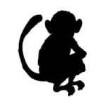 casino slang monkey